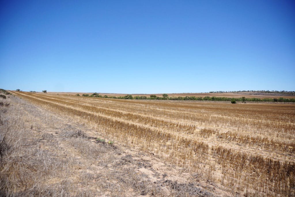 1277 Mingenew-Mullewa Road, Yarragadee Sold by Luxury Real Estate Sales - image 1