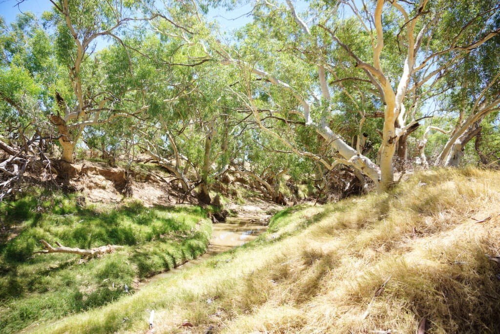 1277 Mingenew-Mullewa Road, Yarragadee Sold by Luxury Real Estate Sales